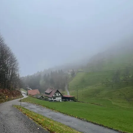 Appartement Feriendomizil Zwischen Baden-baden - Offenburg