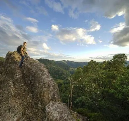 Appartement Feriendomizil Zwischen Baden-baden - Offenburg Ottenhofen im Schwarzwald